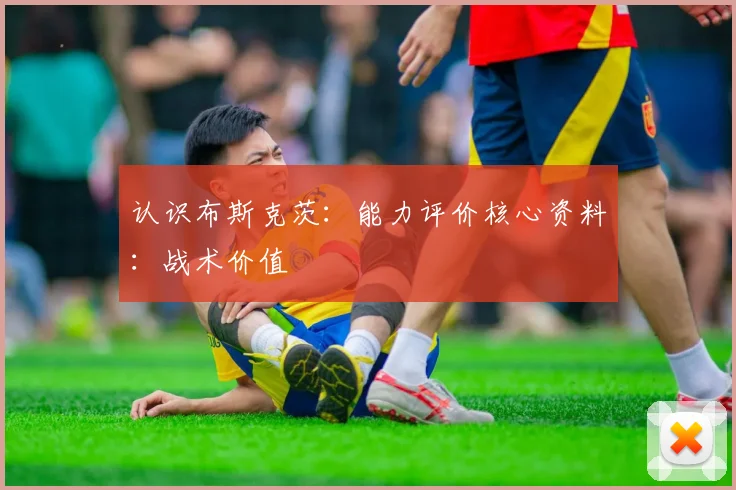 认识布斯克茨：能力评价核心资料：战术价值