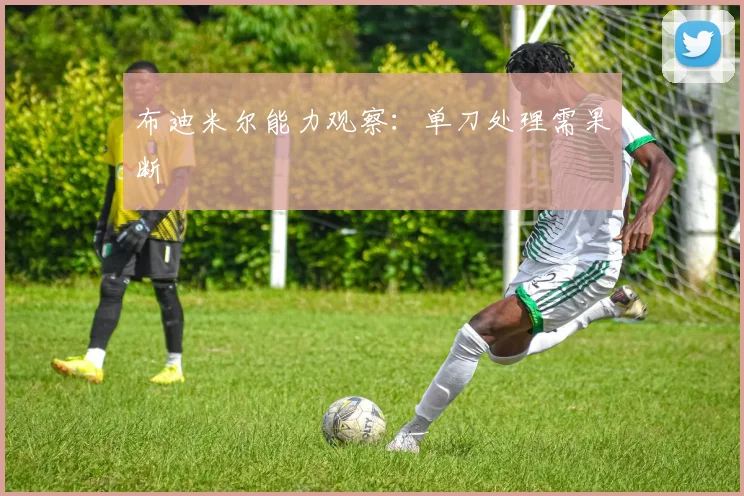 布迪米尔能力观察：单刀处理需果断