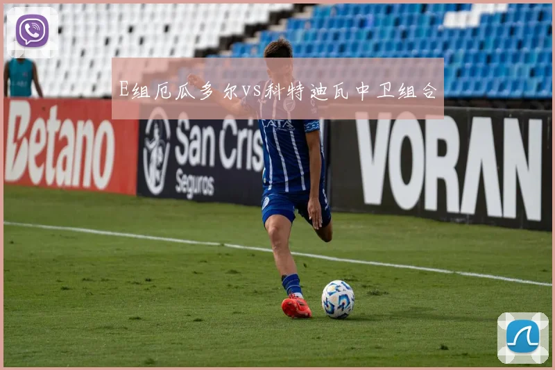 E组厄瓜多尔vs科特迪瓦中卫组合