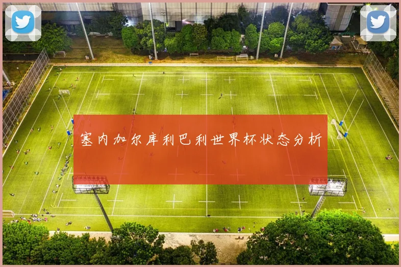 塞内加尔库利巴利世界杯状态分析
